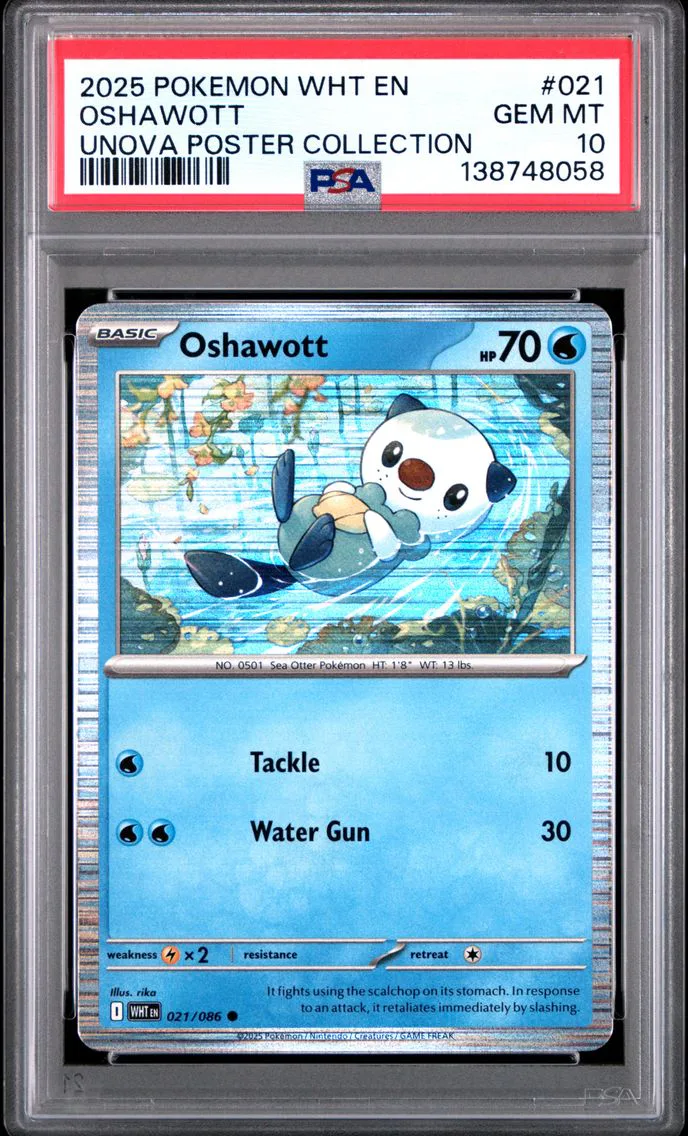 2025 #021 Oshawott PSA 10 Wht EN-White Flare Pokemon