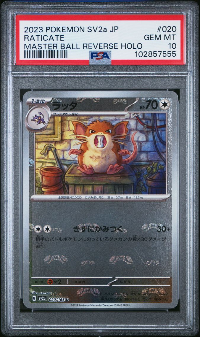 2023 #020 Raticate Master Ball Reverse Holo PSA 10 Japanese Sv2a- 151 Pokemon