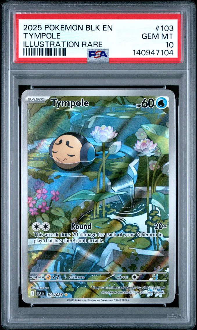 2025 #103 Tympole PSA 10 Blk EN-Black Bolt Pokemon