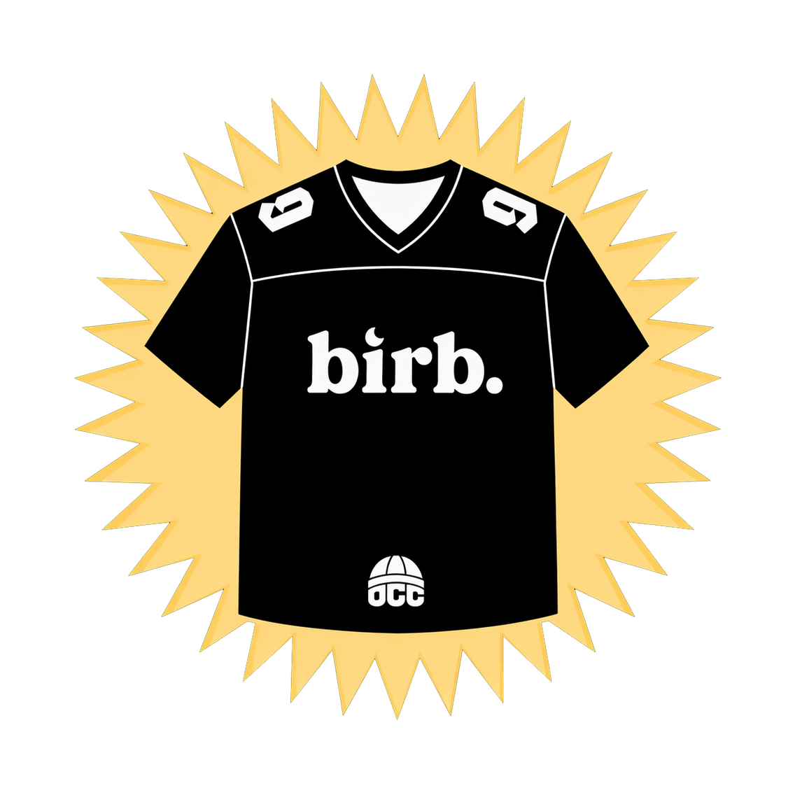 2026 Vibes Birb Jersey (specify size)