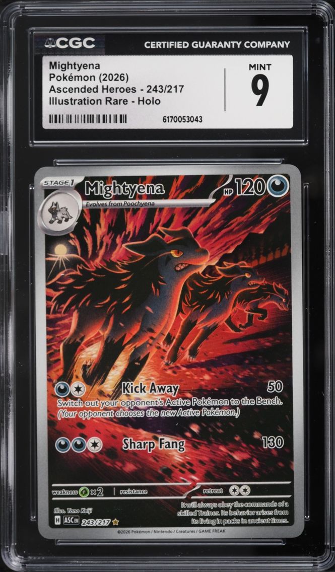 2026 Pokemon Mega Evolution Ascended Heroes IR Mightyena #243 CGC 9 MINT