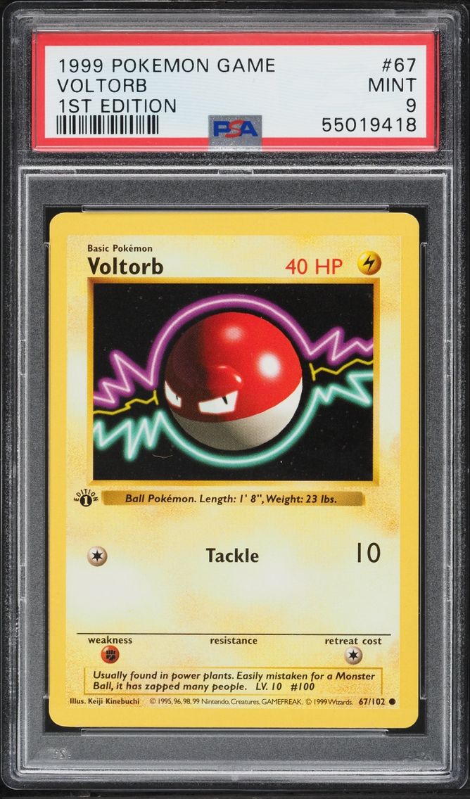 1999 Pokemon Base Set Shadowless 1st Edition Voltorb #67 PSA 9 MINT
