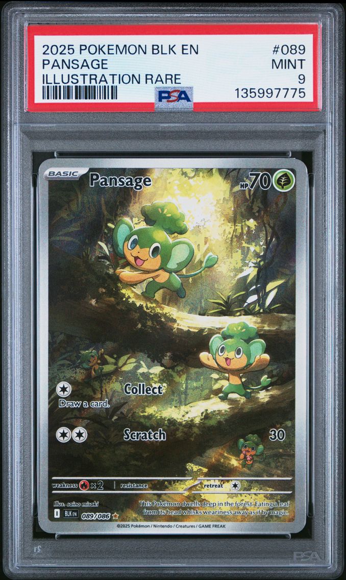 2025 #089 Pansage PSA 9 Blk EN-Black Bolt