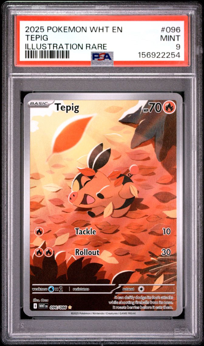 2025 #096 Tepig PSA 9 Wht EN-White Flare