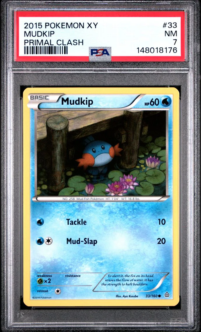 2015 #33 Mudkip PSA 7 XY Primal Clash