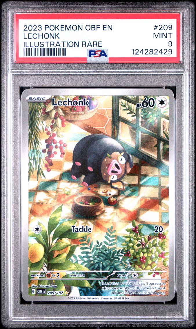 2023 #209 Lechonk PSA 9 Obf EN-Obsidian Flames Pokemon