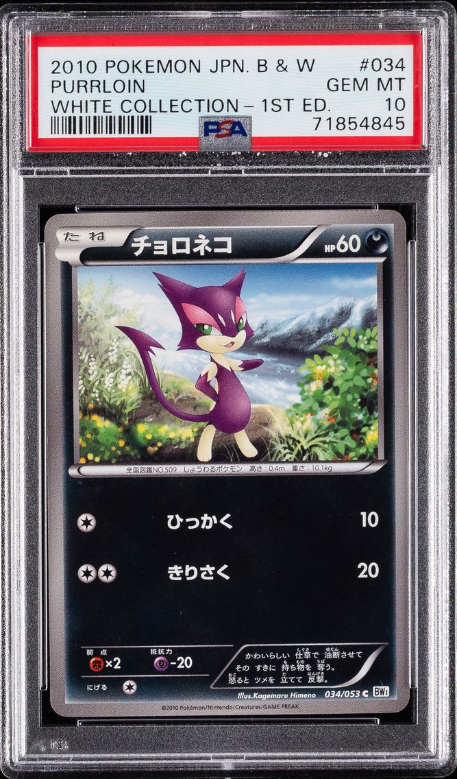 2010 #034 Purrloin PSA 10 Japanese Black & White Pokemon