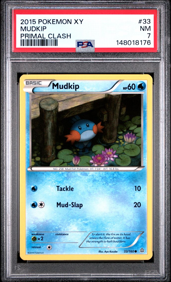 2015 #33 Mudkip PSA 7 XY Primal Clash
