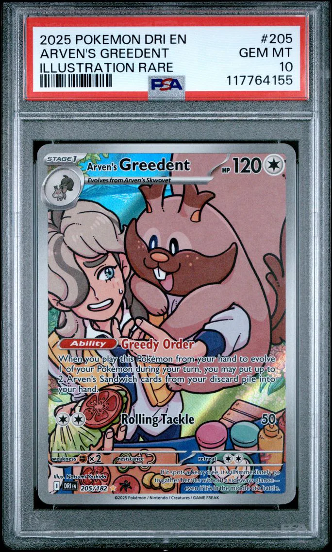 2025 #205 Arven's Greedent PSA 10 Dri EN-Destined Rivals Pokemon