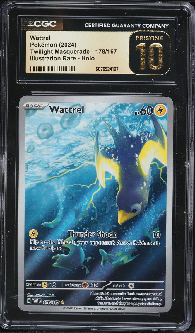 2024 #178 Wattrel CGC 10 Pristine Twm EN-Twilight Masquerade Pokemon