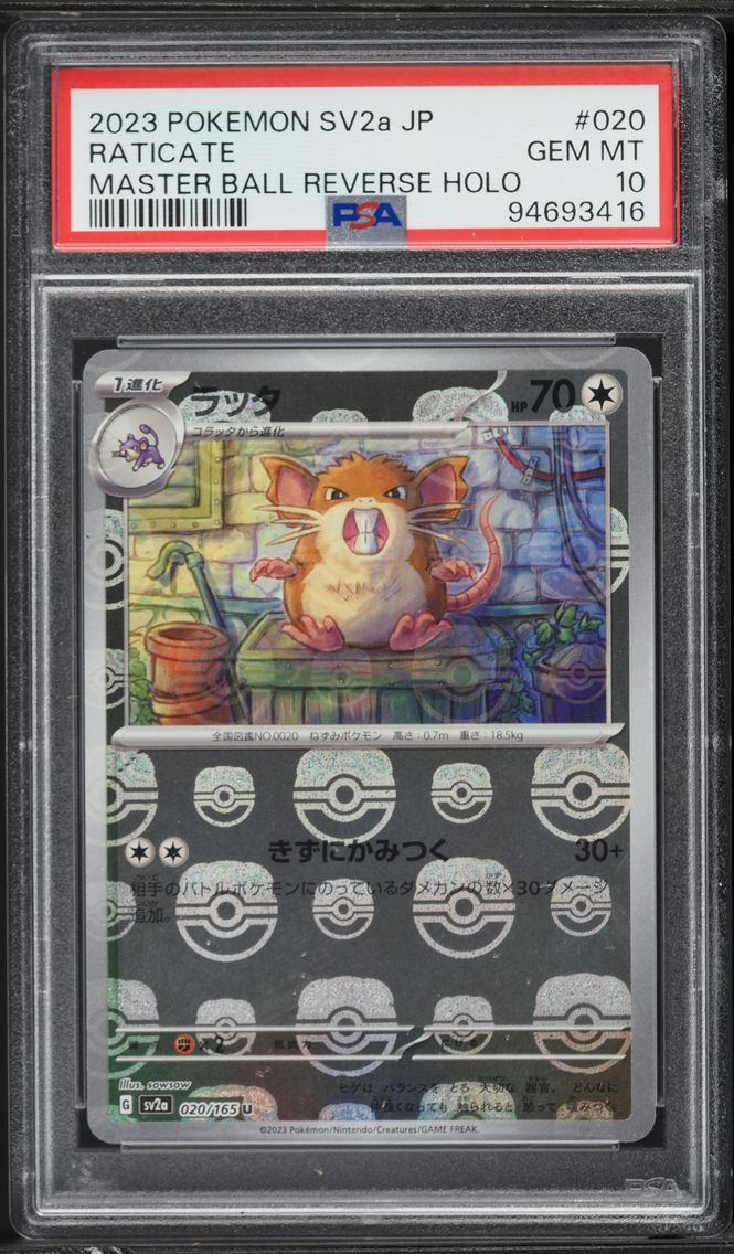 2023 #020 Raticate Master Ball Reverse Holo PSA 10 Japanese Sv2a- 151 Pokemon