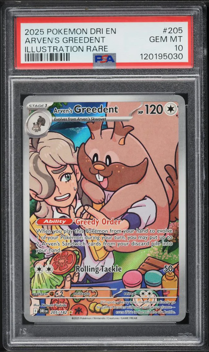 2025 #205 Arven's Greedent PSA 10 Dri EN-Destined Rivals Pokemon