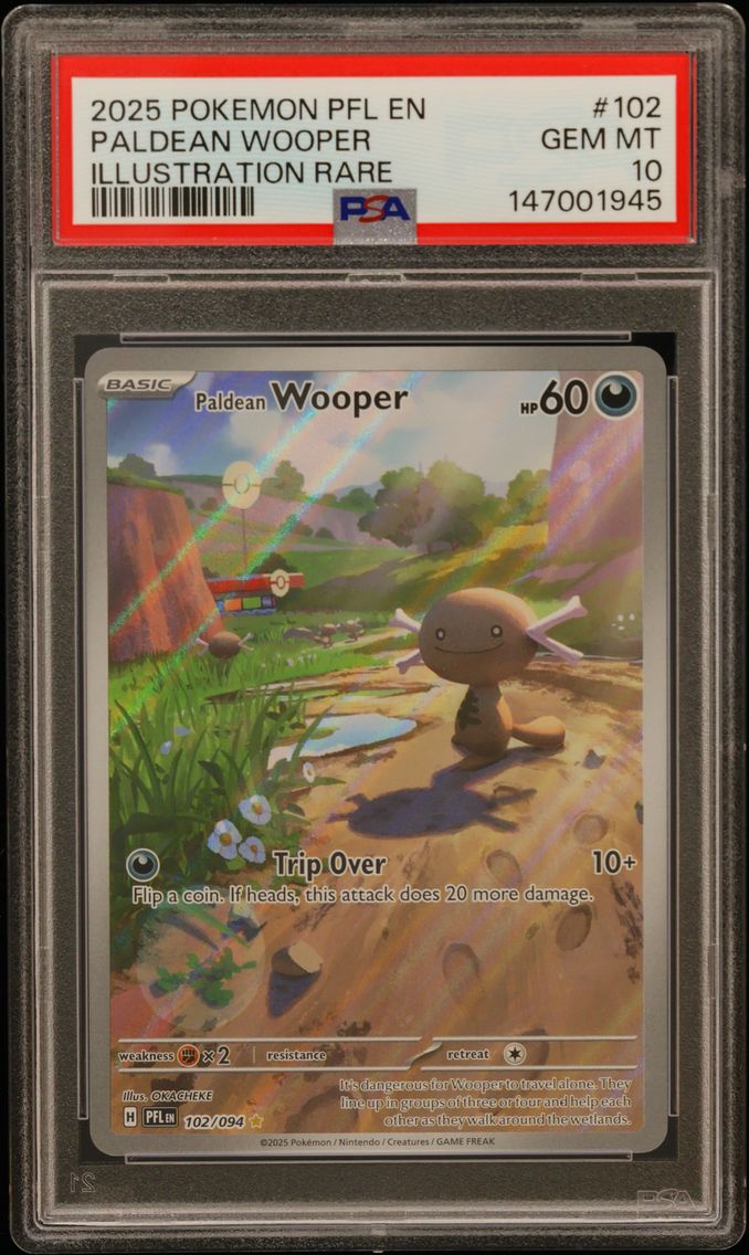 2025 #102 Paldean Wooper PSA 10 Pfl EN-Phantasmal Flames
