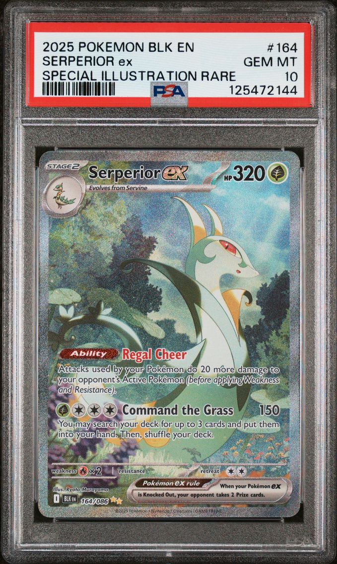 2025 #164 Serperior EX PSA 10 Blk EN-Black Bolt