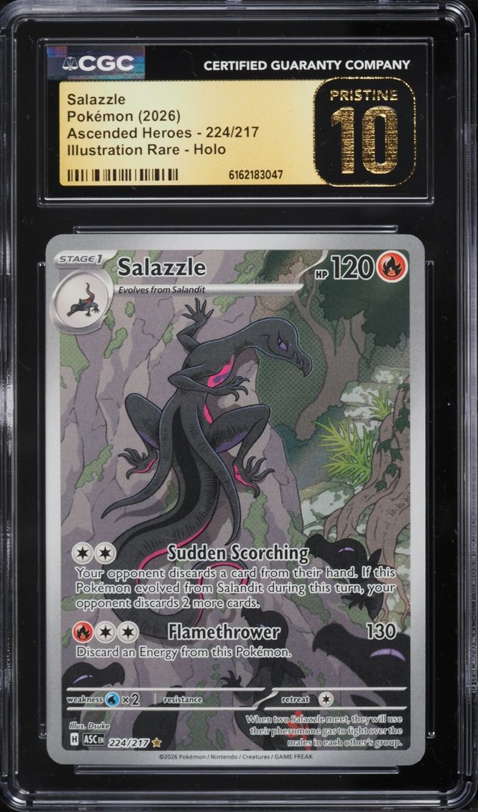 2026 Pokemon Mega Evolution Ascended Heroes IR Salazzle #224 CGC 10 PRISTINE