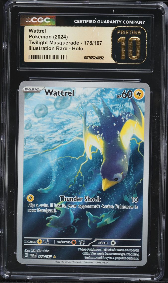 2024 #178 Wattrel CGC 10 Pristine Twm EN-Twilight Masquerade Pokemon