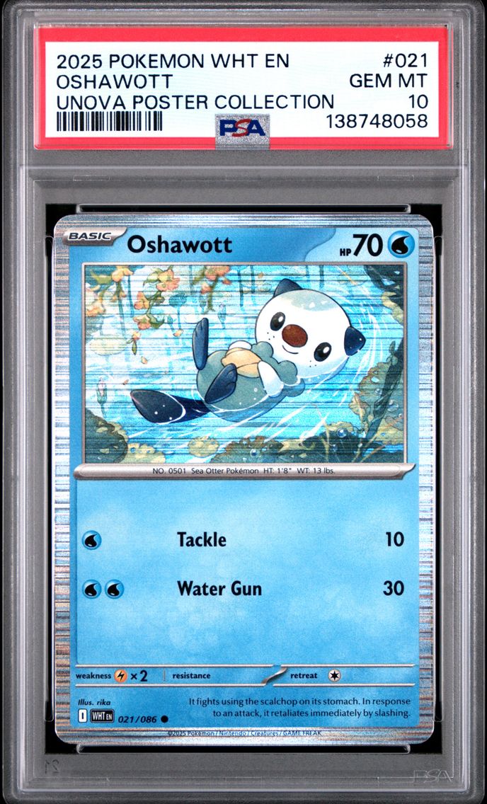 2025 #021 Oshawott PSA 10 Wht EN-White Flare Pokemon