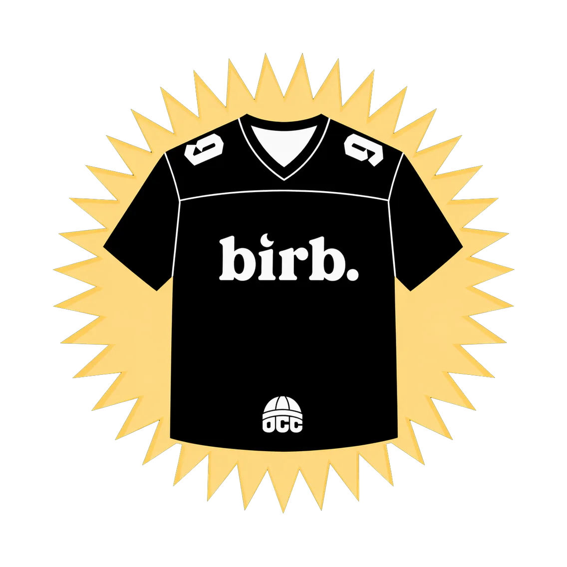2026 Vibes Birb Jersey (specify size)